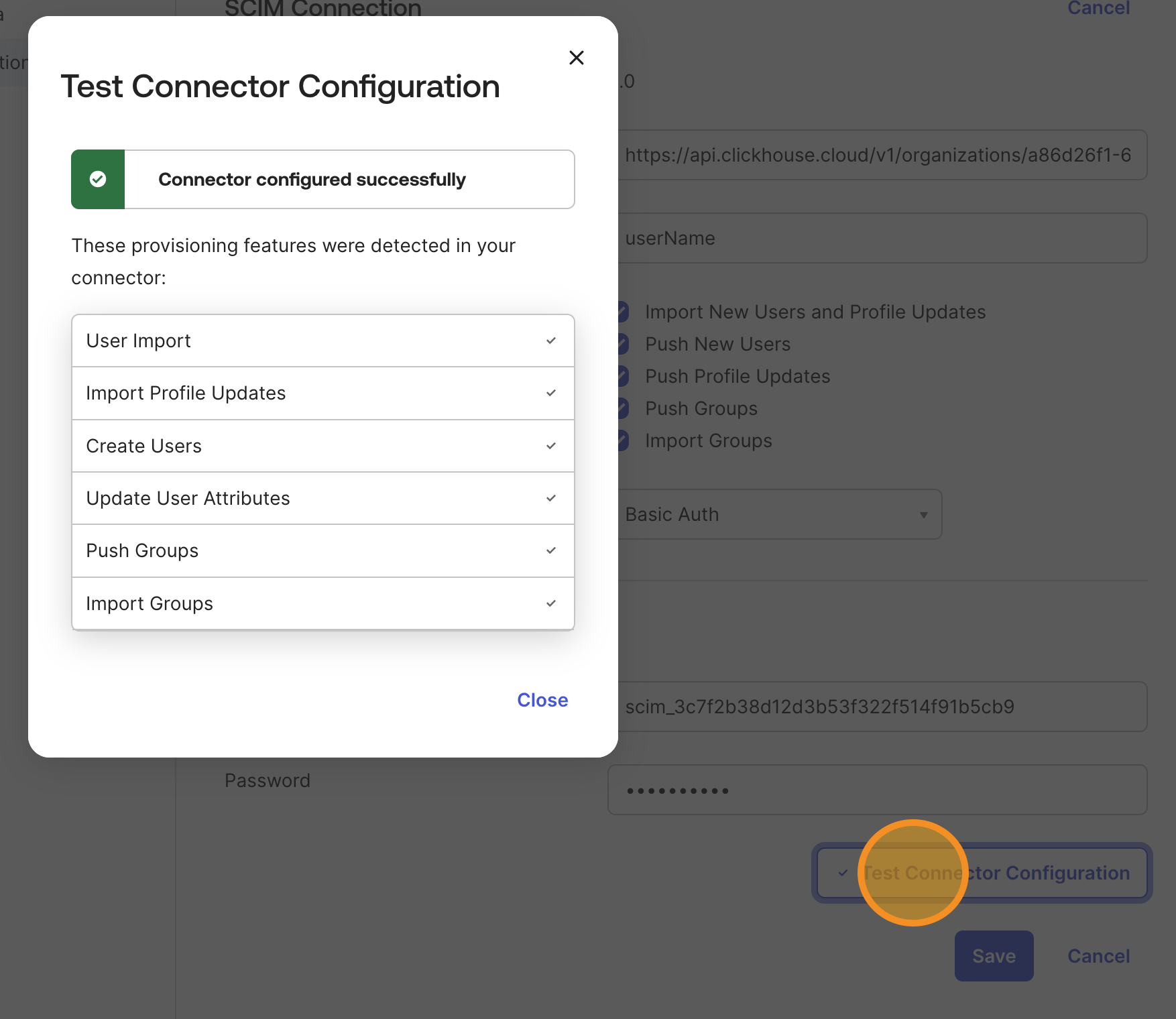 Test the SCIM connection
